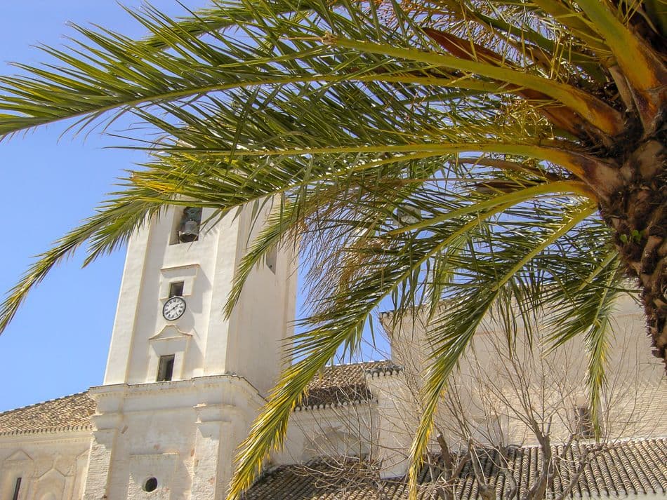 GR13-106 Alpujarra Kris Vanloo PICT1221_export_w950