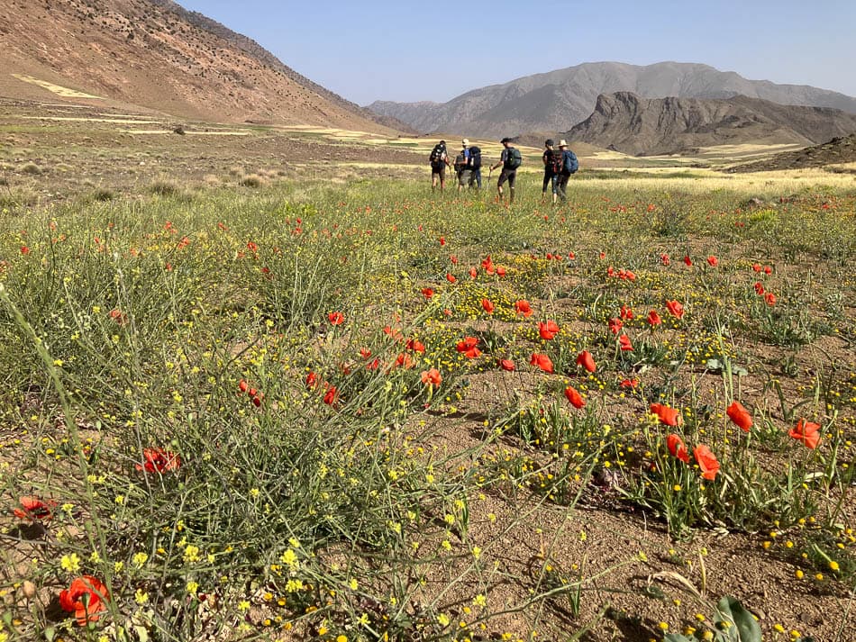 240531 Afra Plateau MA1OWA Karin Middel W950