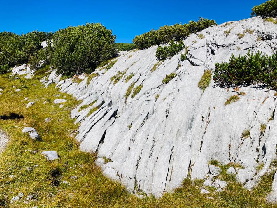 IMG-20230926-WA0028-Koen-Koen Somers-w950