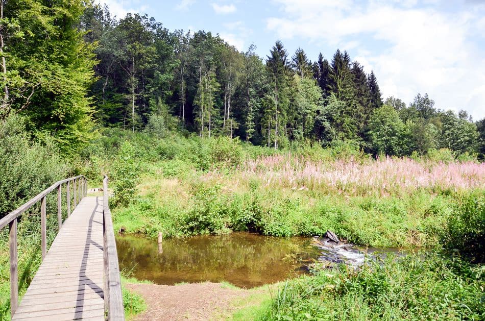 Daverdisse - FTLB PWillems 2_export_w950