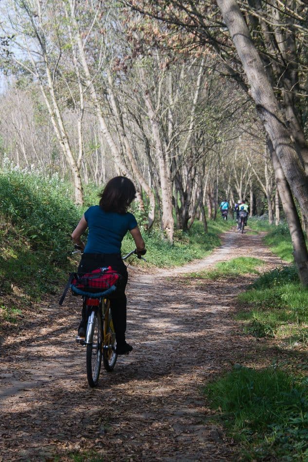 14HU161_PeterCornelissen-8_export_w950