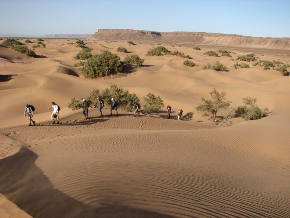 GR12-136 Zuid-Marokko 2011 Ann Verhetsel 20110308_1737_PVE_6576_export