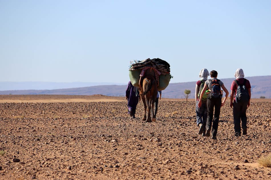 Sahara (52) Arne Vanwijnsberghe Arne Vanwijnsberghe W950