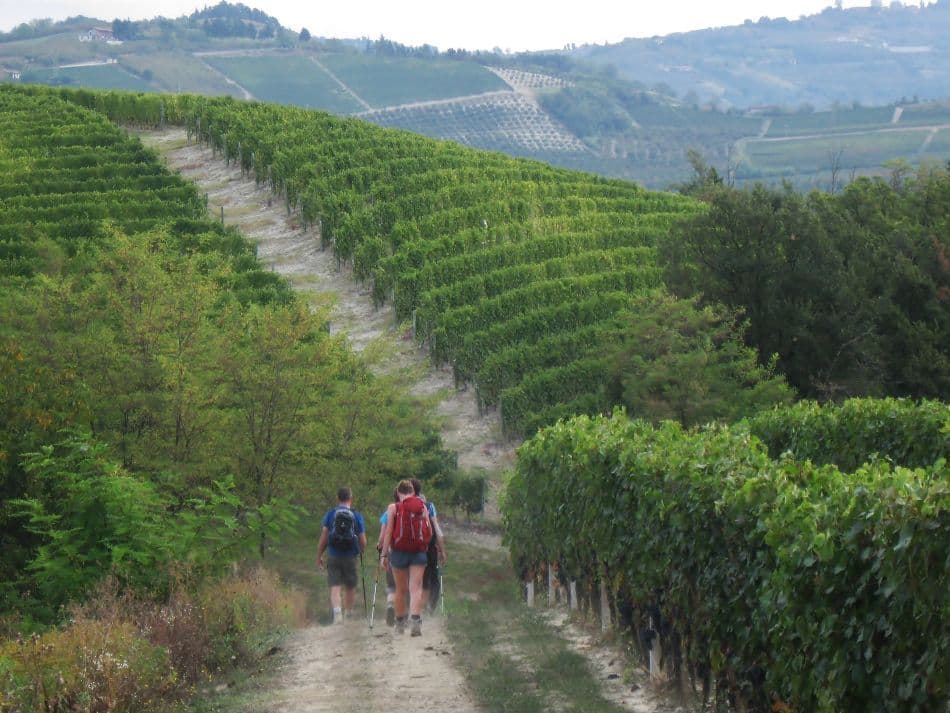 Piemonte-2013-248-Lut-De-Smet_export_w950