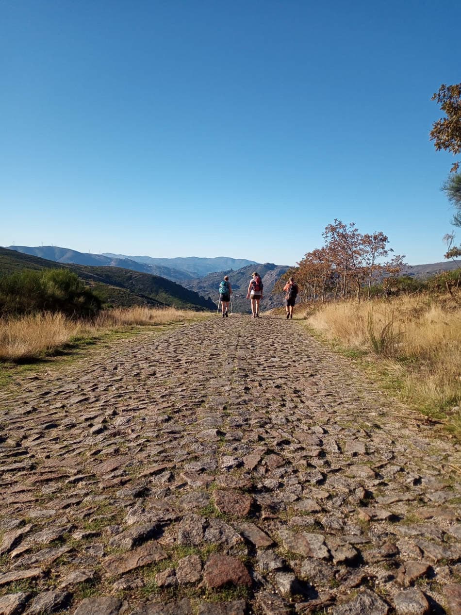 B2213F87-1DAD-4DD5-AE1C-C6A22783C27E-Selectie-Sam Vermeire-w950