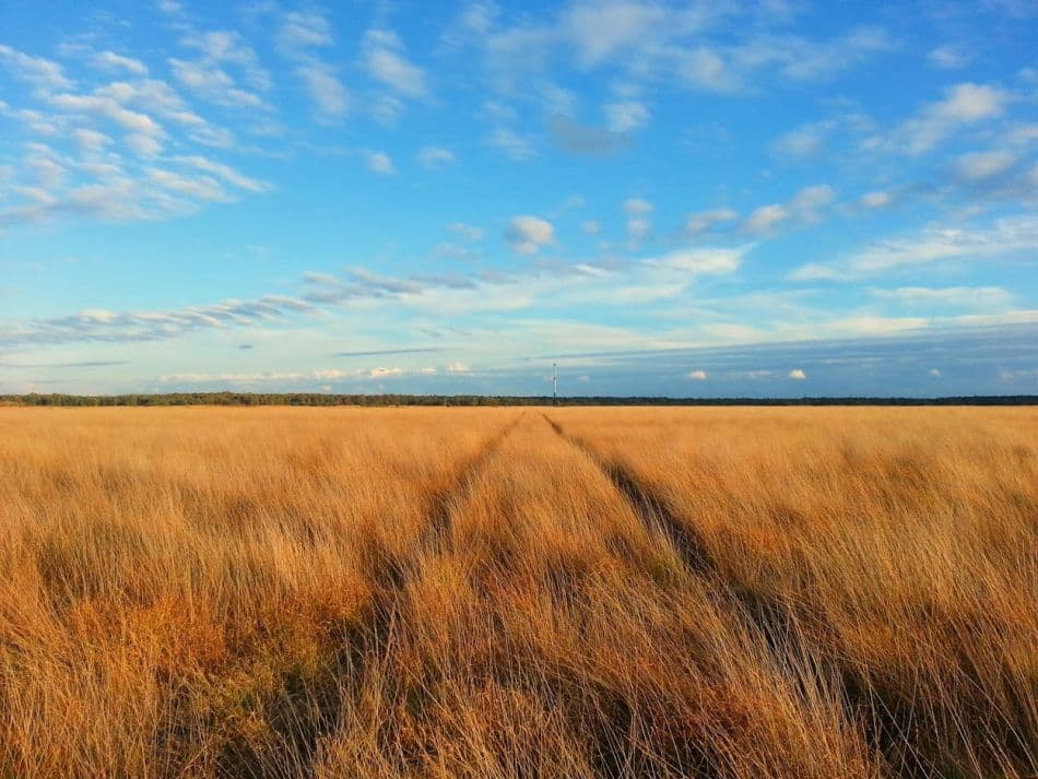 Anders-Reizen-Weekend-Beringen-14_export