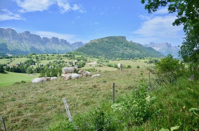 Paysage-de-Gresse-en-Vercors-Matthieu-Offredi_export
