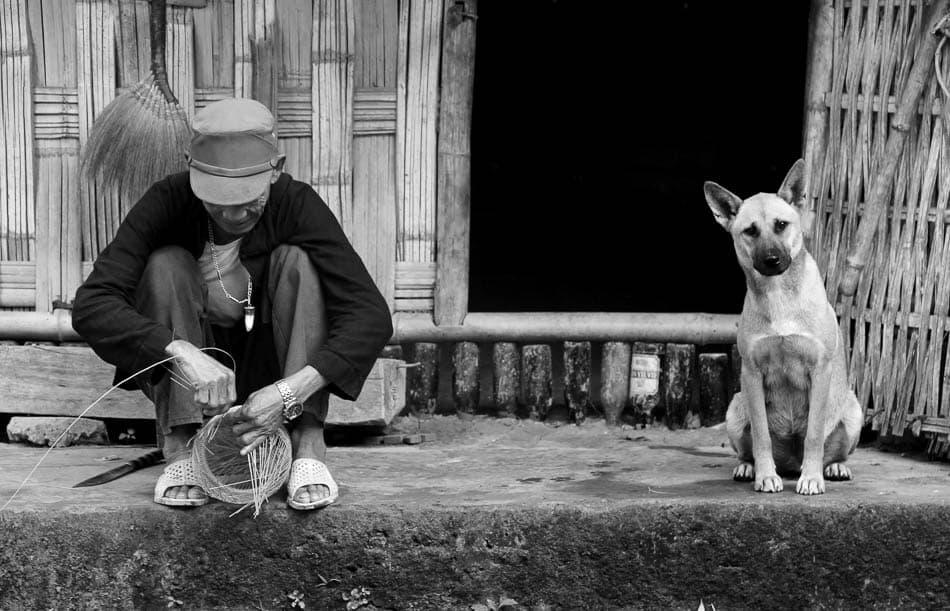 VN 242 Selectie Arne Vanwijnsberghe Arne Van Wijnsberghe W950