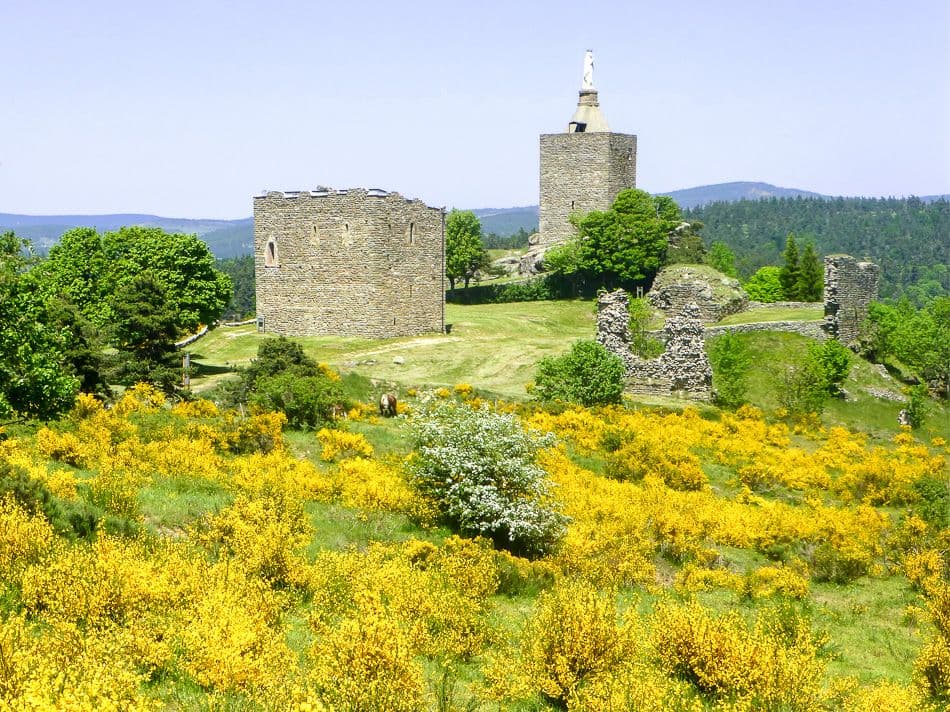 D015 STV 14 JP 00472_export_w950