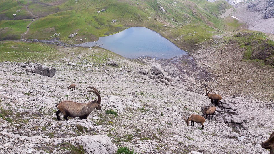 DSC 0806 Export W950