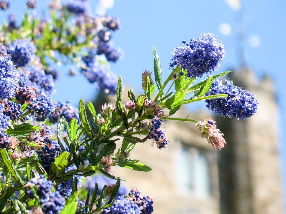 Gr13-37-Kent-10-Peter-Cornelissen-10GB075_5_export_w950