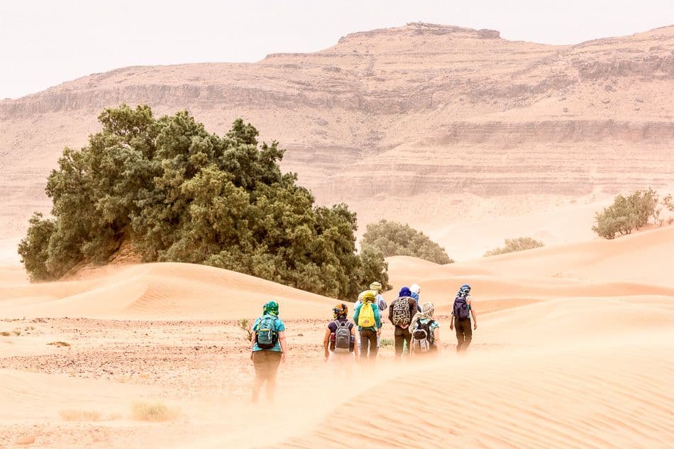 Fotos-Marokko-171-IMG_1941_export_w950