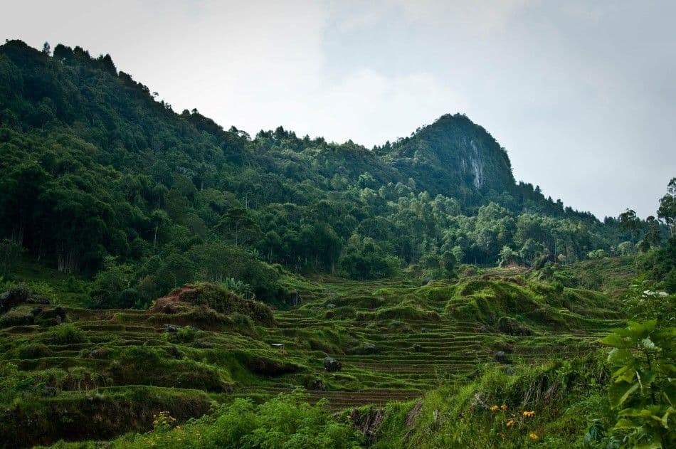 Java-Bali-Sulawesi-10-Stefaan-Moens-DSC_0652b-Custom