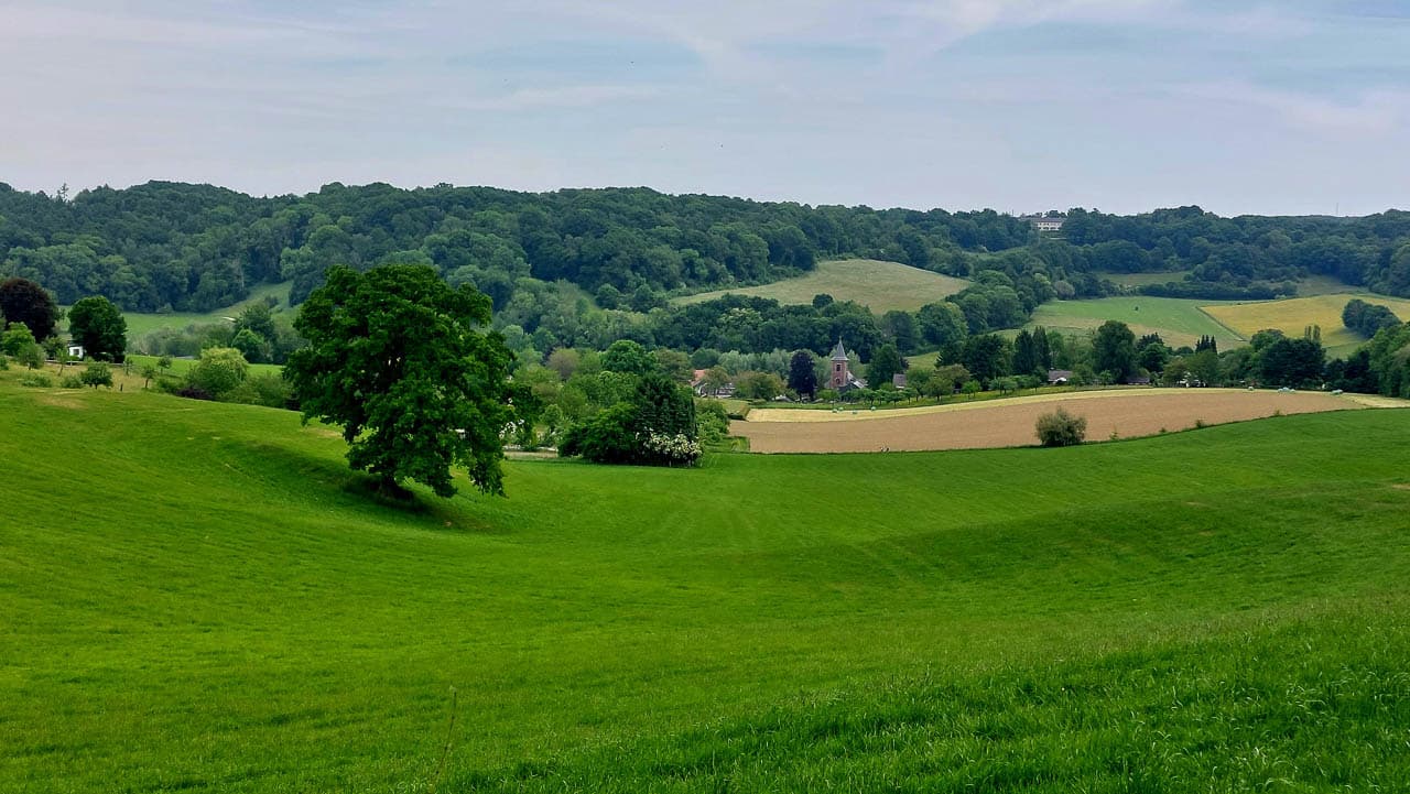 Chris Laeremans 20250521 115137 Chris Laeremans