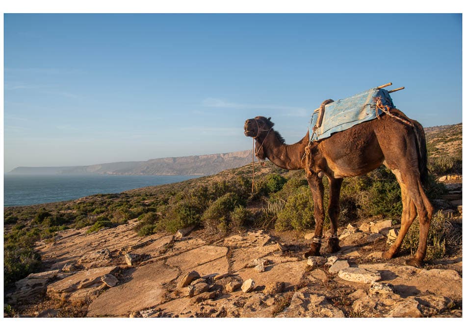 Dsc4092kopie Selectie Niek Meijer W950