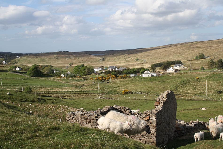 Wild Donegal 2266937 1920 Selectie Edwin From Pixabay W950