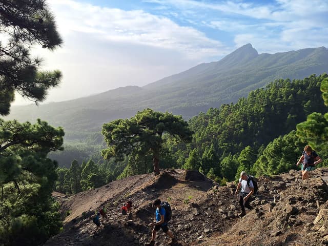 20231114 165155 Te Verwerken Rob Vanderhaeghe W950