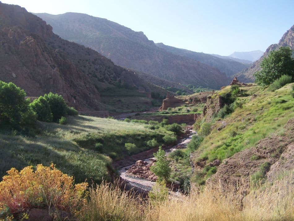 GR14-74-Atlas-O-W-Carlo-Borgers-09-reeks1-028_export