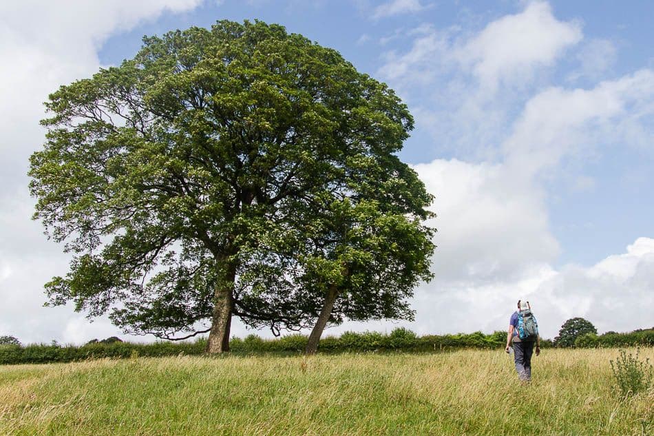 15GB088-5_Peter Cornelissen_w950