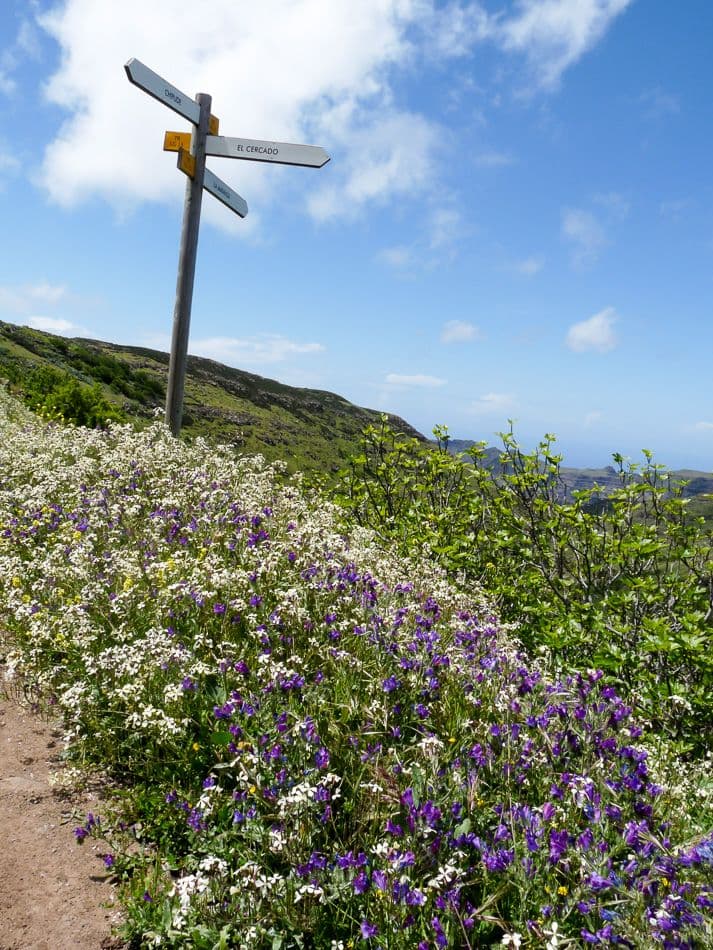 La Gomera 09 Lief Strackx P1000138_export_w950