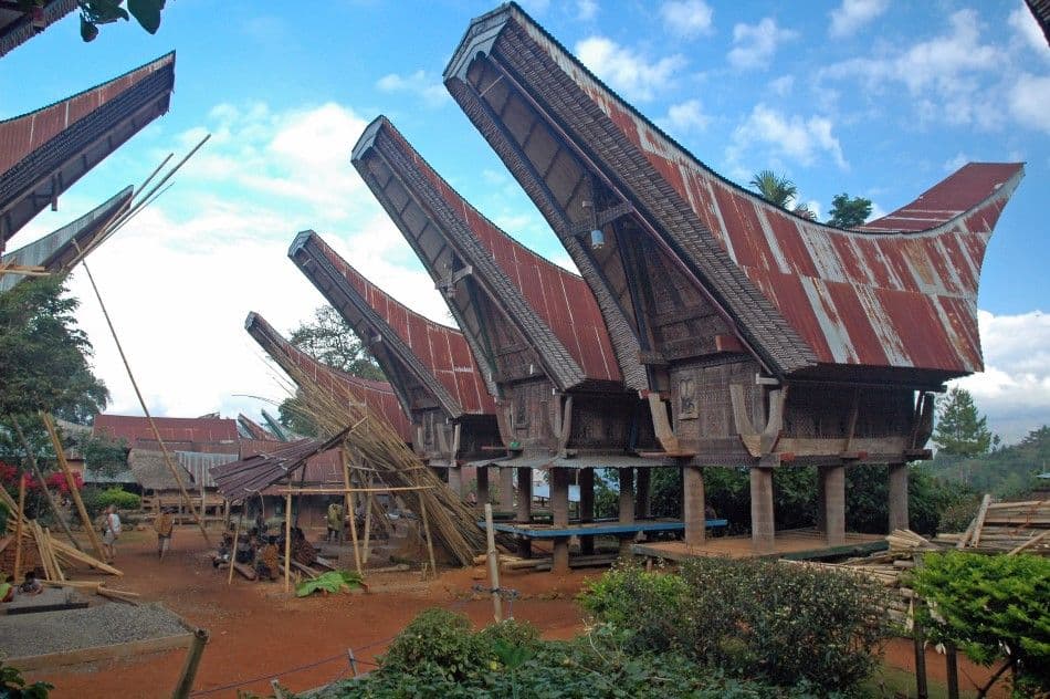 IND11-113-Sulawesi-05-Robert-Stockmans-1-Custom