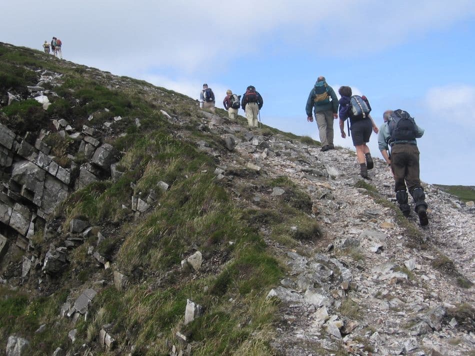 Afbeelding-505_export