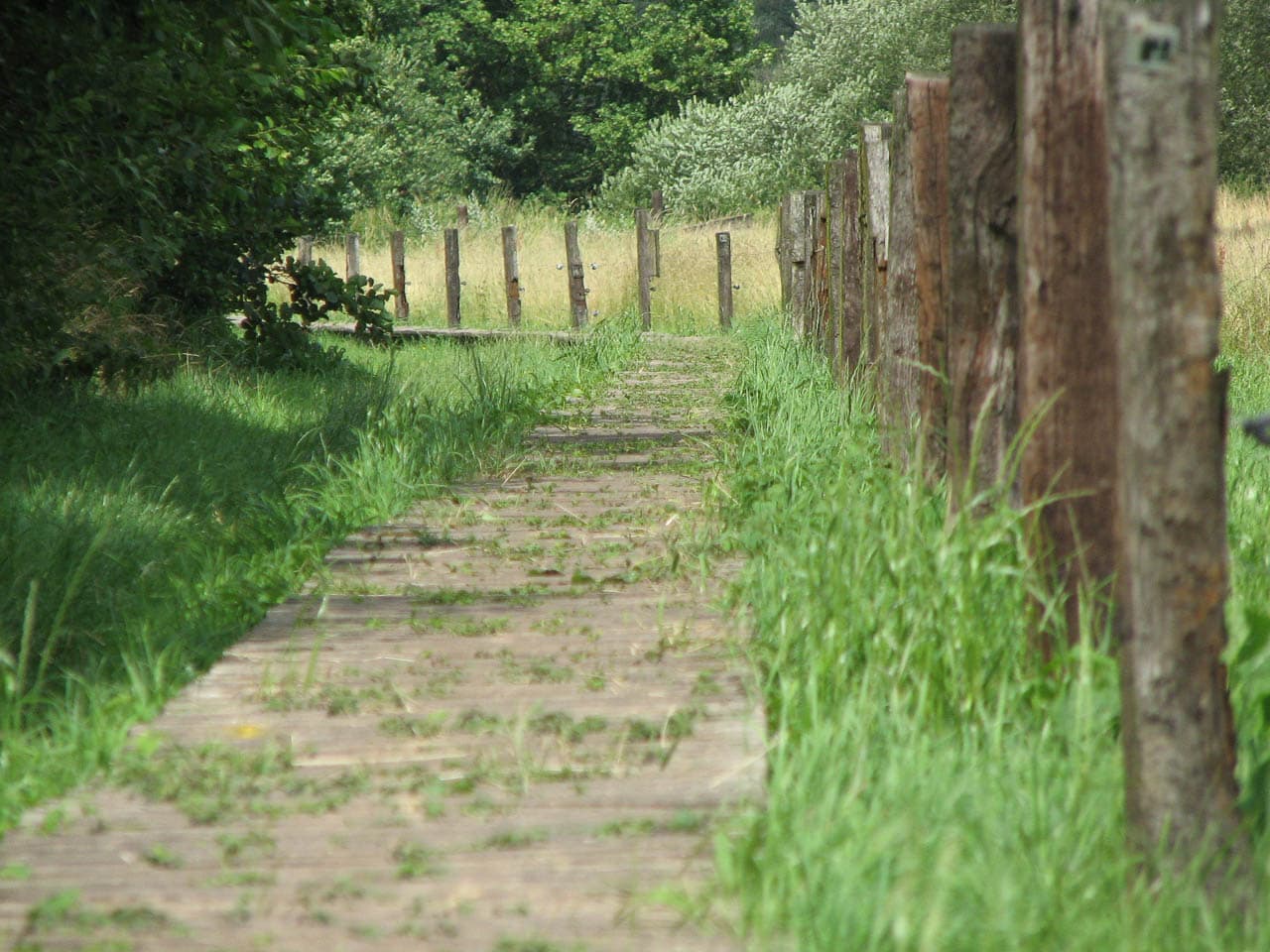 Selectie Bart Doode Bemdewandeling 2 (Lokaal Bestuur Huldenberg) Huldenberg