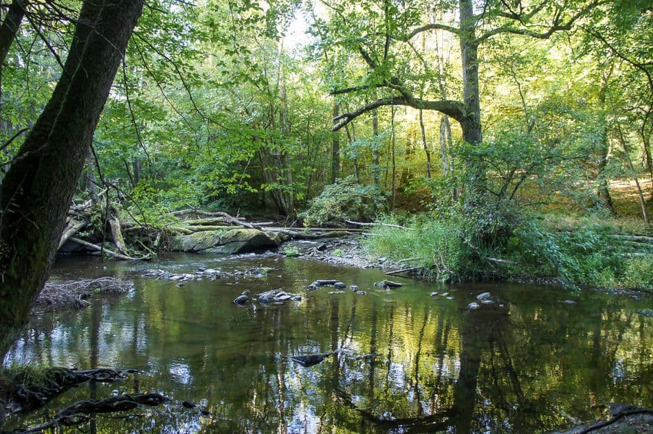 DSC02685_export_w950