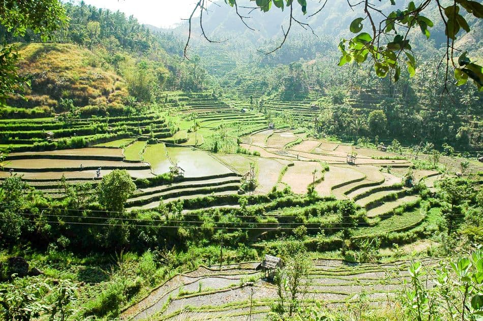 Bali-05-Robert-Stockmans-4_export_w950