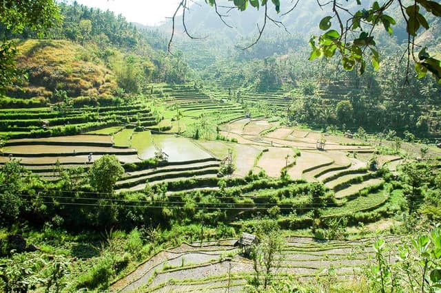 Bali-05-Robert-Stockmans-4_export_w950