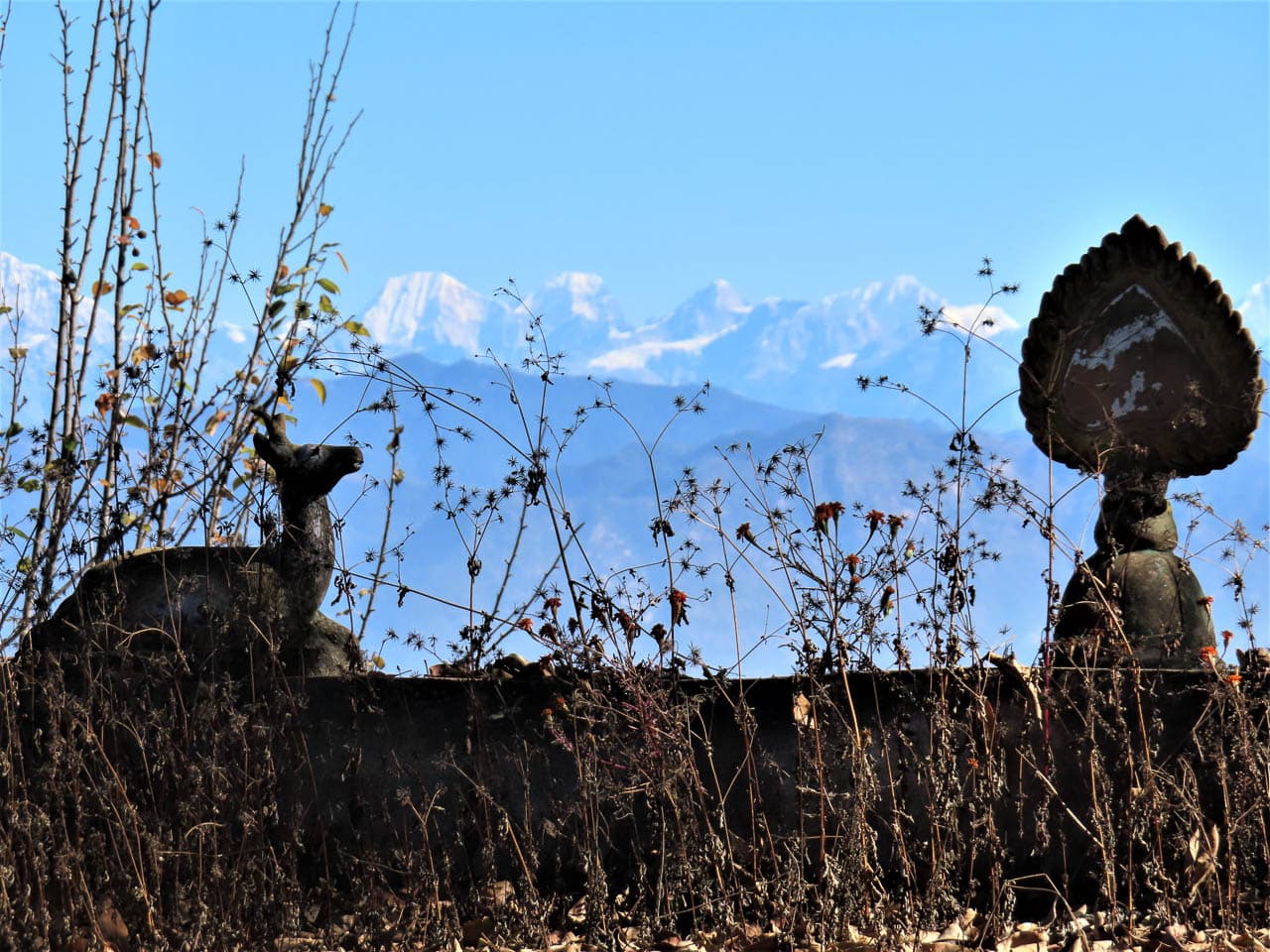 Selectie Temal 5 Betty Moureaux