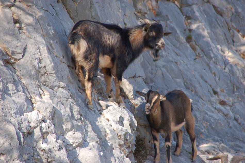 2012_03_Gorges_Ardeche_desbenoit-4_export