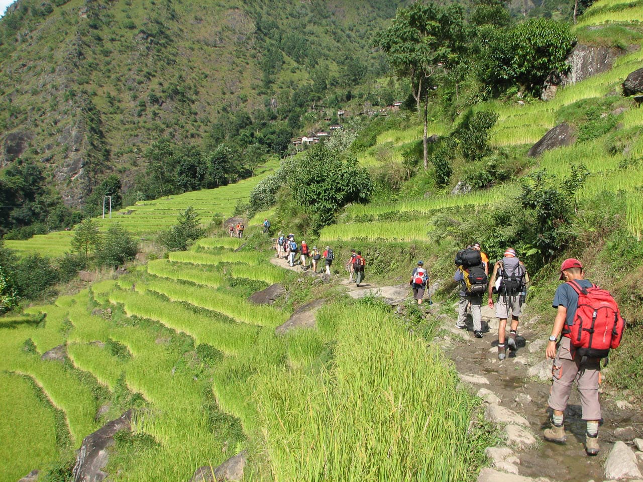Website Nar&Phu&Tilicho Annapurna Alt 08 Peter Keppens IMG 6946 Peter Keppens