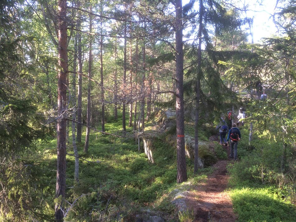 IMG_1633-BDW_Bart-De-Winter_w950