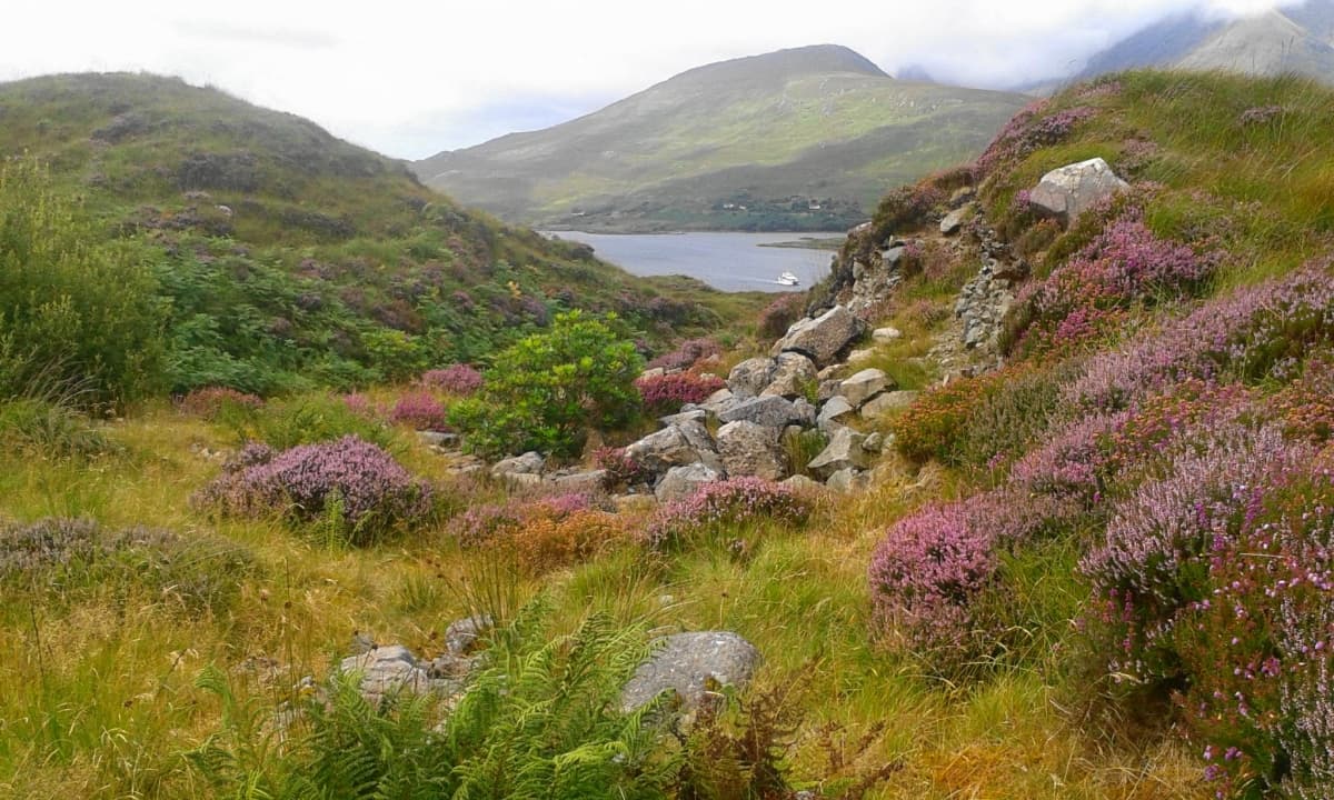 2014 08 21 13.57.23 Export