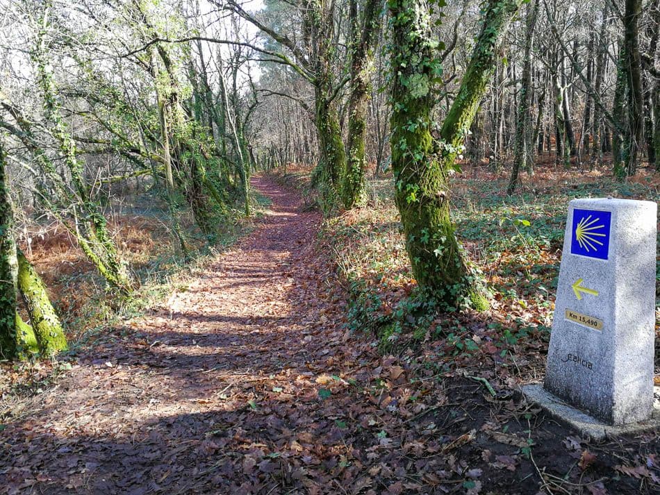 IMG_20190210_114628_Jose Augusto Azevedo_w950