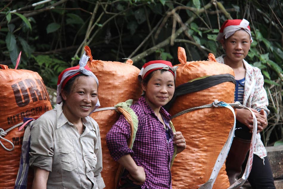 VN 167 Selectie Arne Vanwijnsberghe Arne Van Wijnsberghe W950