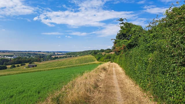 NL5DMA Merel Timmer_2022-08-31 14.11.05_Merel Trimmer_w950