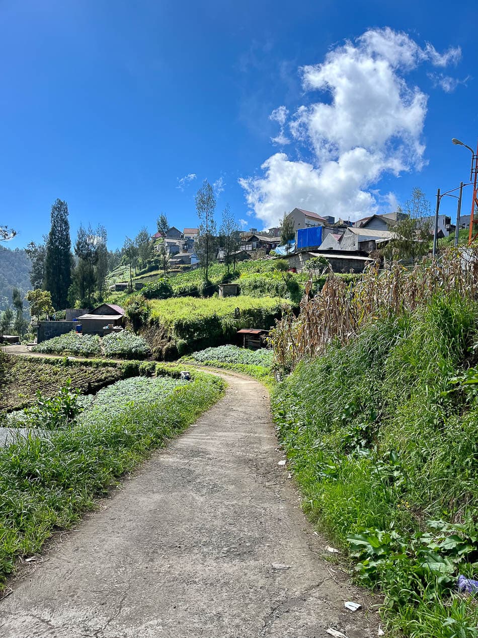 Image00015 Selectie Eveline Eveline Claes W950 ID5JBA Eveline Claes W950