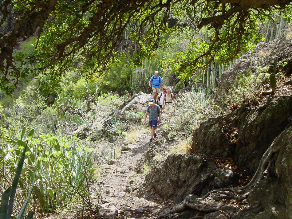 hr_tenerife-05-kristof-schelfhout-1101_1258_k__w950