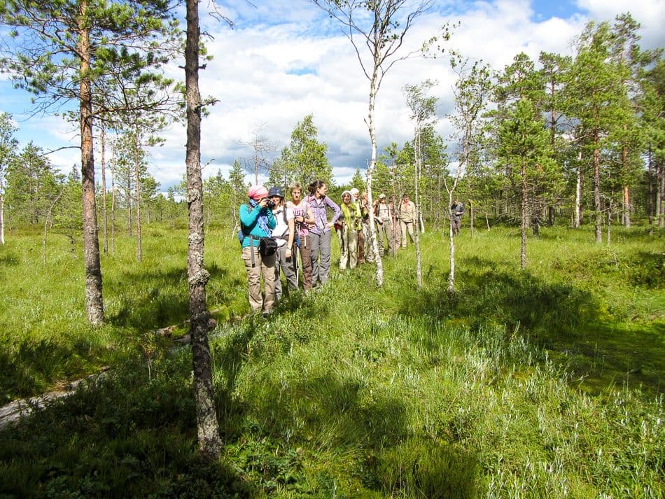 Gr13-33-Finland-12-Francis-Van-Herck-IMG_1535_export_w950