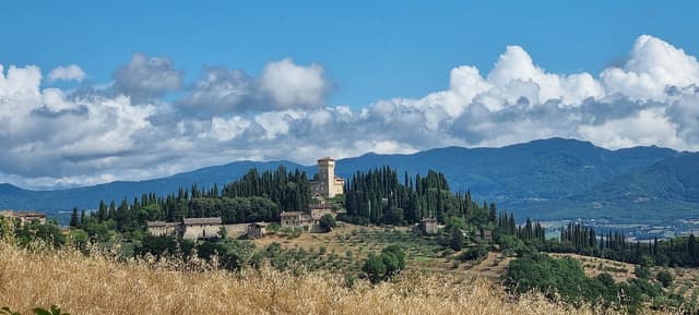 20250726 101642 Tom Dijckmans