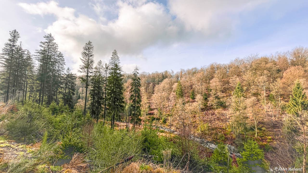 Venntrilogie 16 Ysebaert Peter Peter Ysebaert W1280