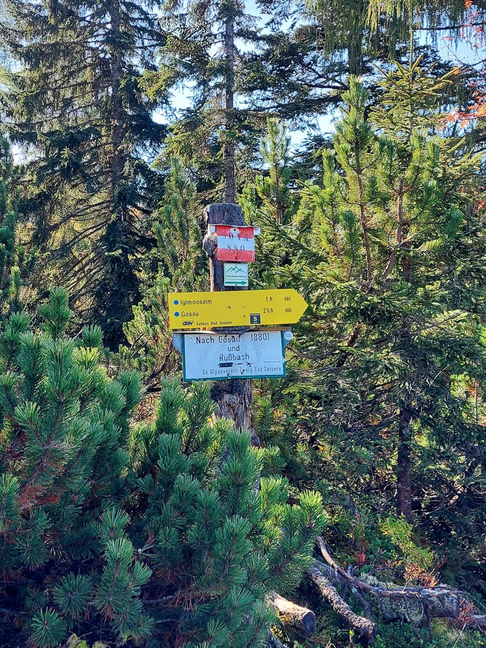 Wegweiser Nach Gosau Elisabeth Carda Agent (Te Verwerken) Dachstein Tourismus Ag W950