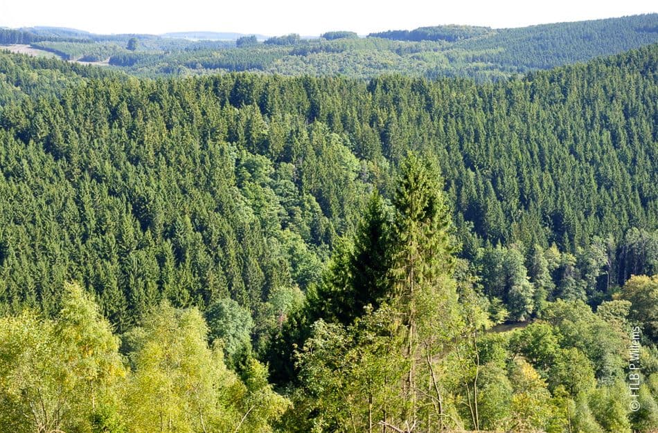 -FTLBPWillems-14_export_w950