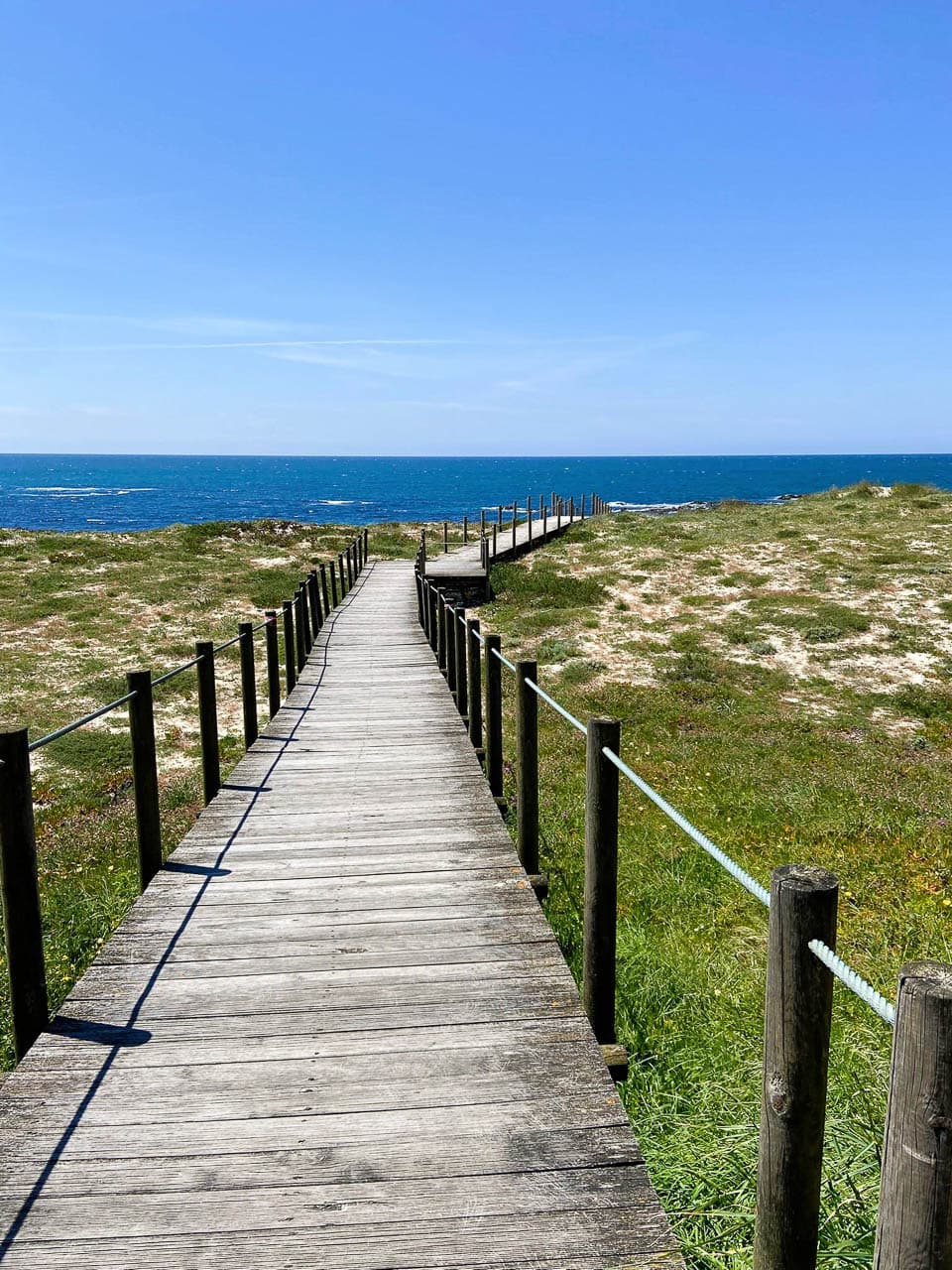 Jan Maes PHOTO 2025 10 21 22 44 08 Jan Maes