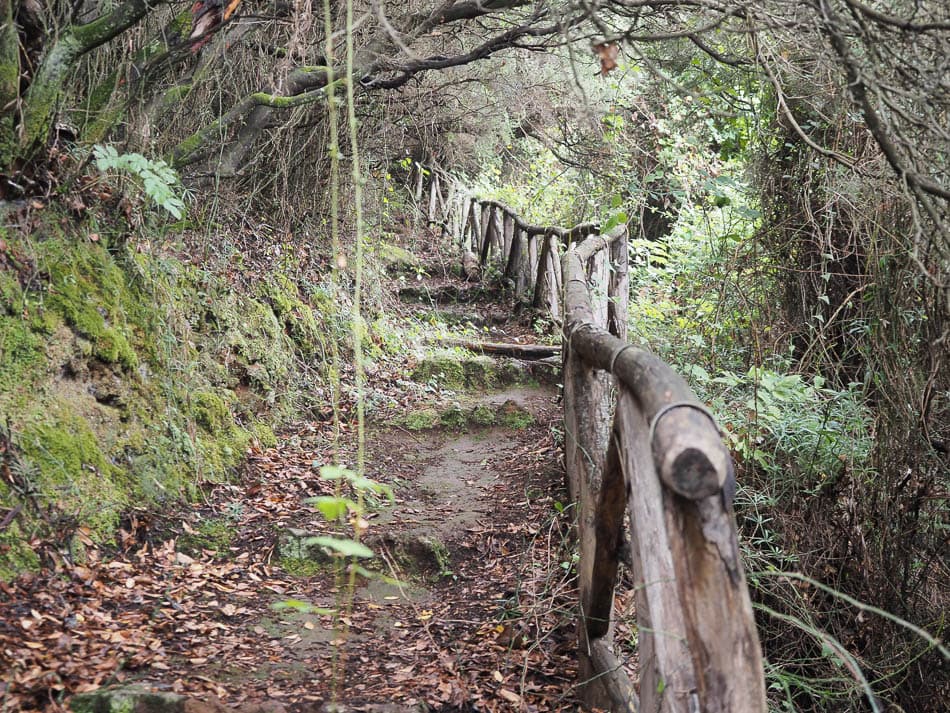 2022-10-10-10-42-33-wandelvakantie-eolische-eilanden-2022-em1_p10100968_jan-dhaen_w950