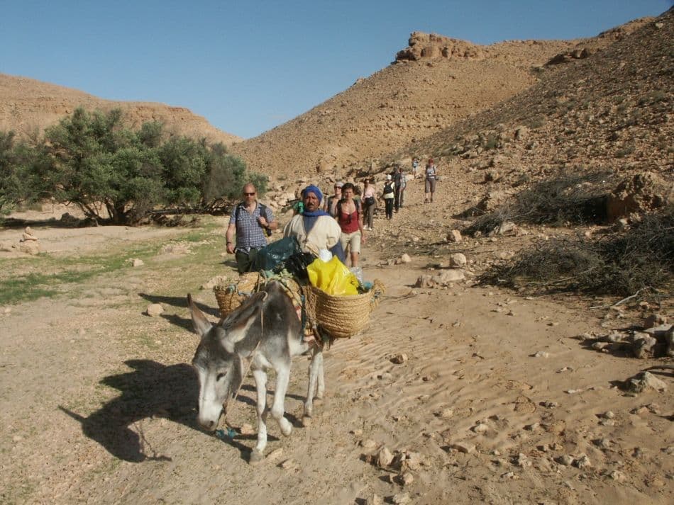 Tunesie-bergwoest-Gerd-Westhof-PICT0036_export