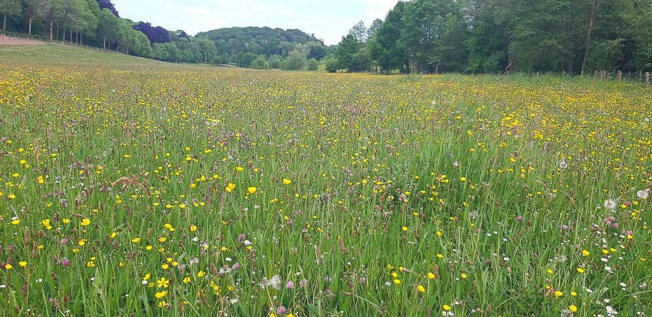 20220515_161828_Els Roes_w950