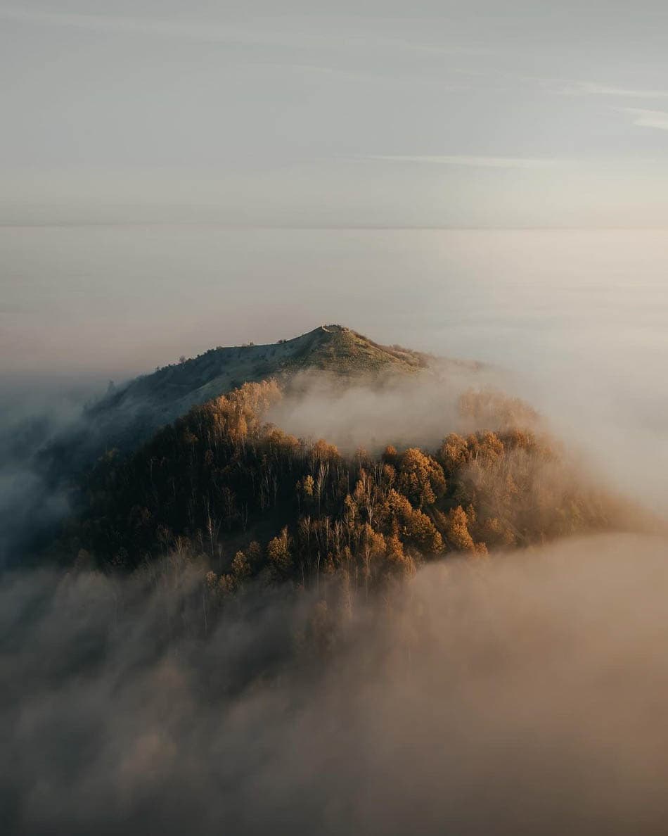 beringen-tris-1-selectie-melissa-michiel-pieters-w950